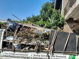 Best Commercial Junk Removal  in Ackley, IA